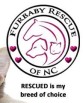 Mistletoe Madness Holiday Market suports Furbaby Rescue of NC a Foster based dog rescue